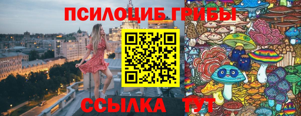 Псилоцибиновые грибы мицелий  Псилоцибиновые грибы мицелий  Славгород  Вход с VPN 